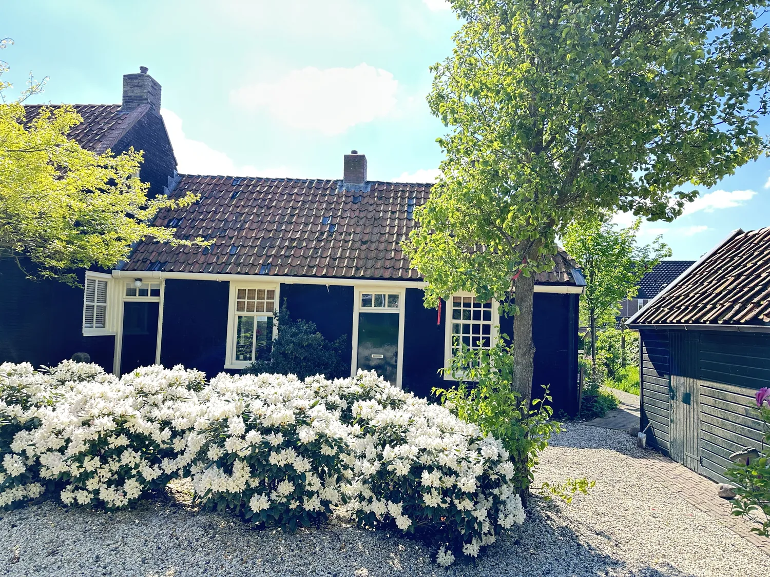 De zwarte molenhuisjes met lichte kozijnen, bomen en bloeiende struiken op het erf.